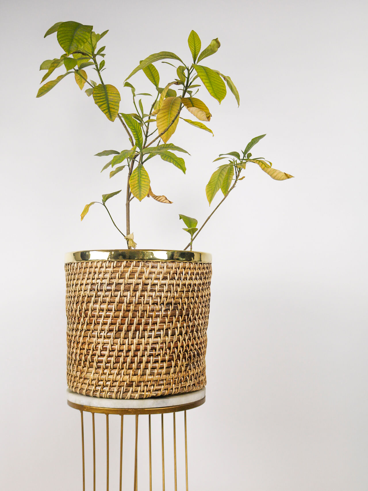 The Round Side Planter-12"