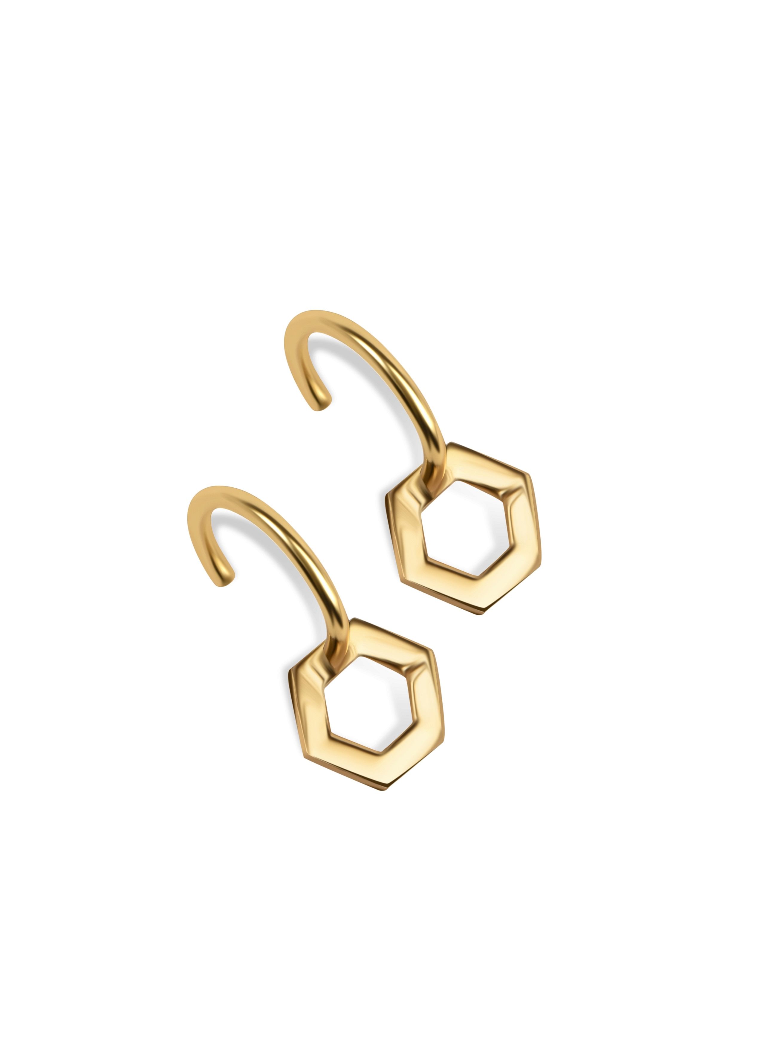 Hexagon Hook Earrings