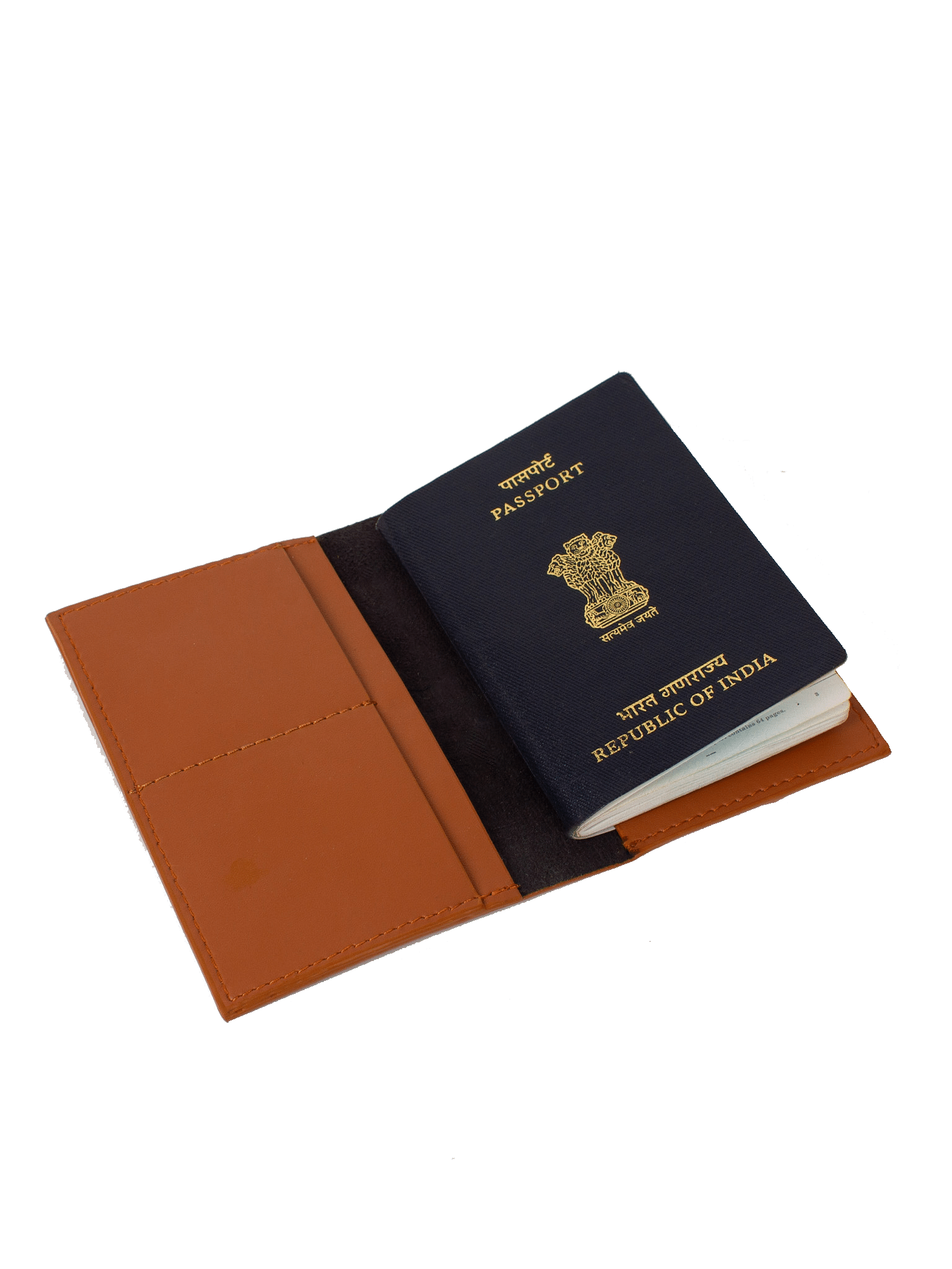Voyager Passport Cover: Tann